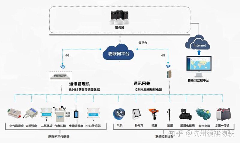 软件开发趋势揭示南京的城市潜力